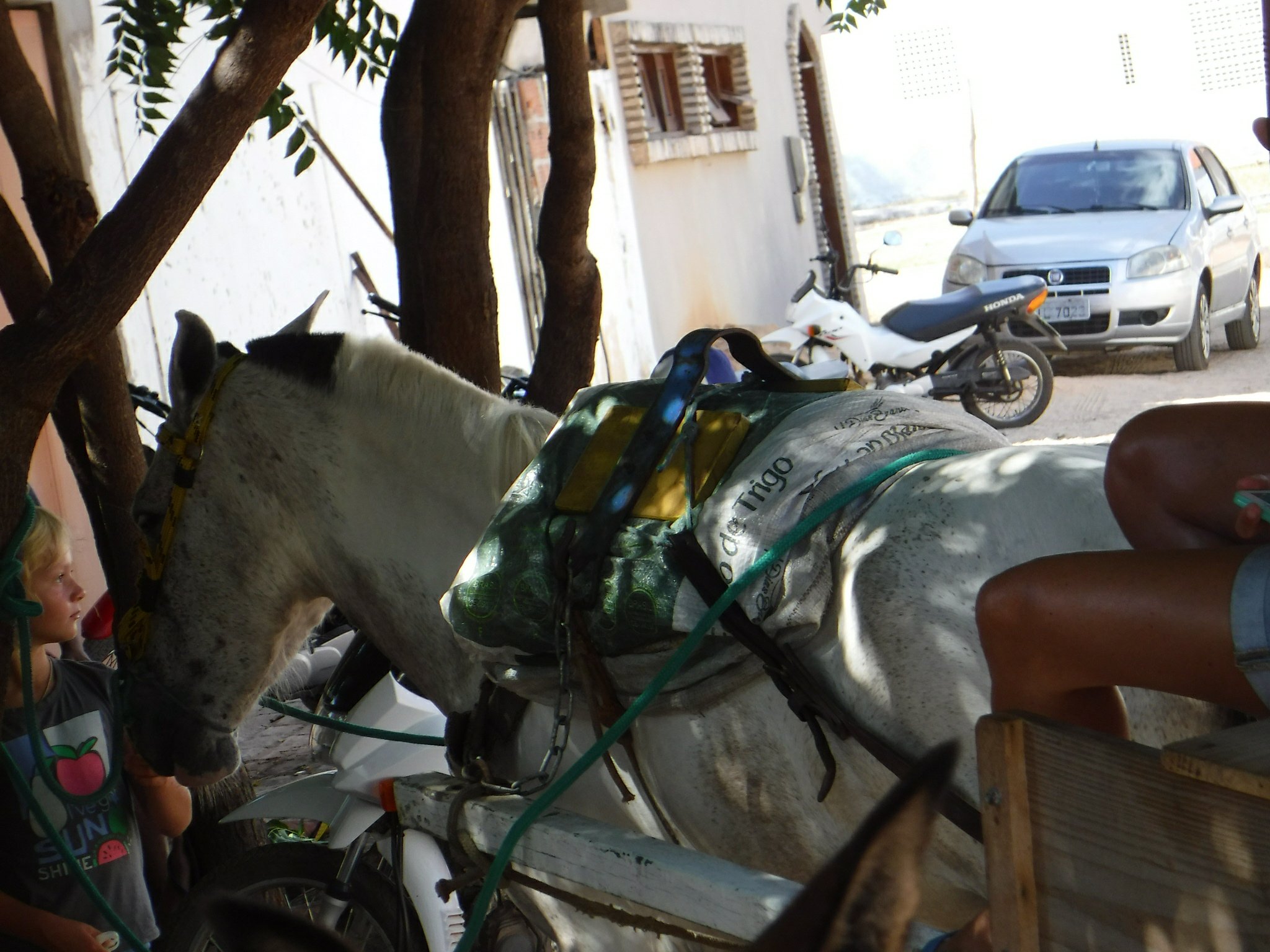 horsey cart
