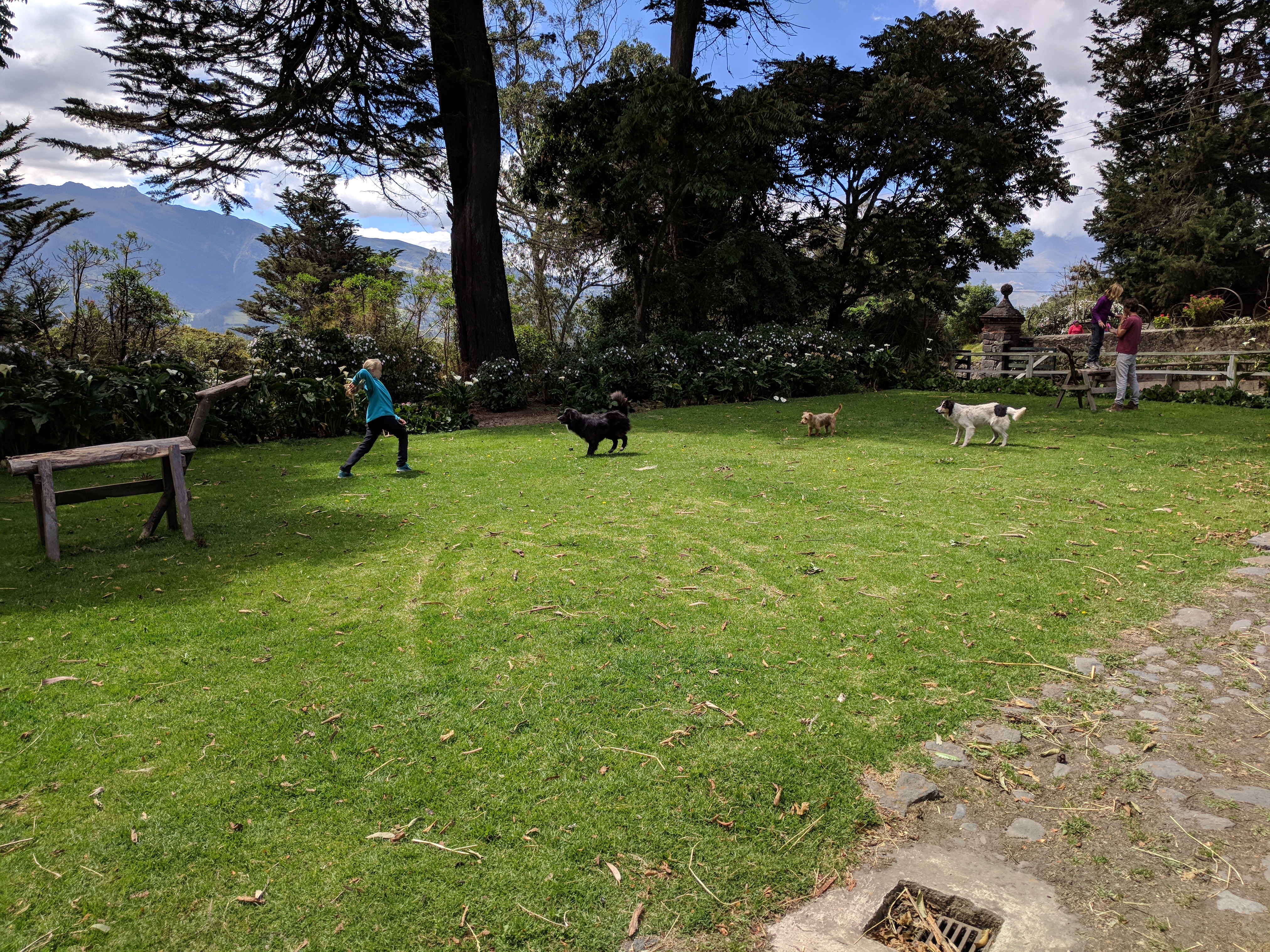 IMG_20180819_103736.jpg