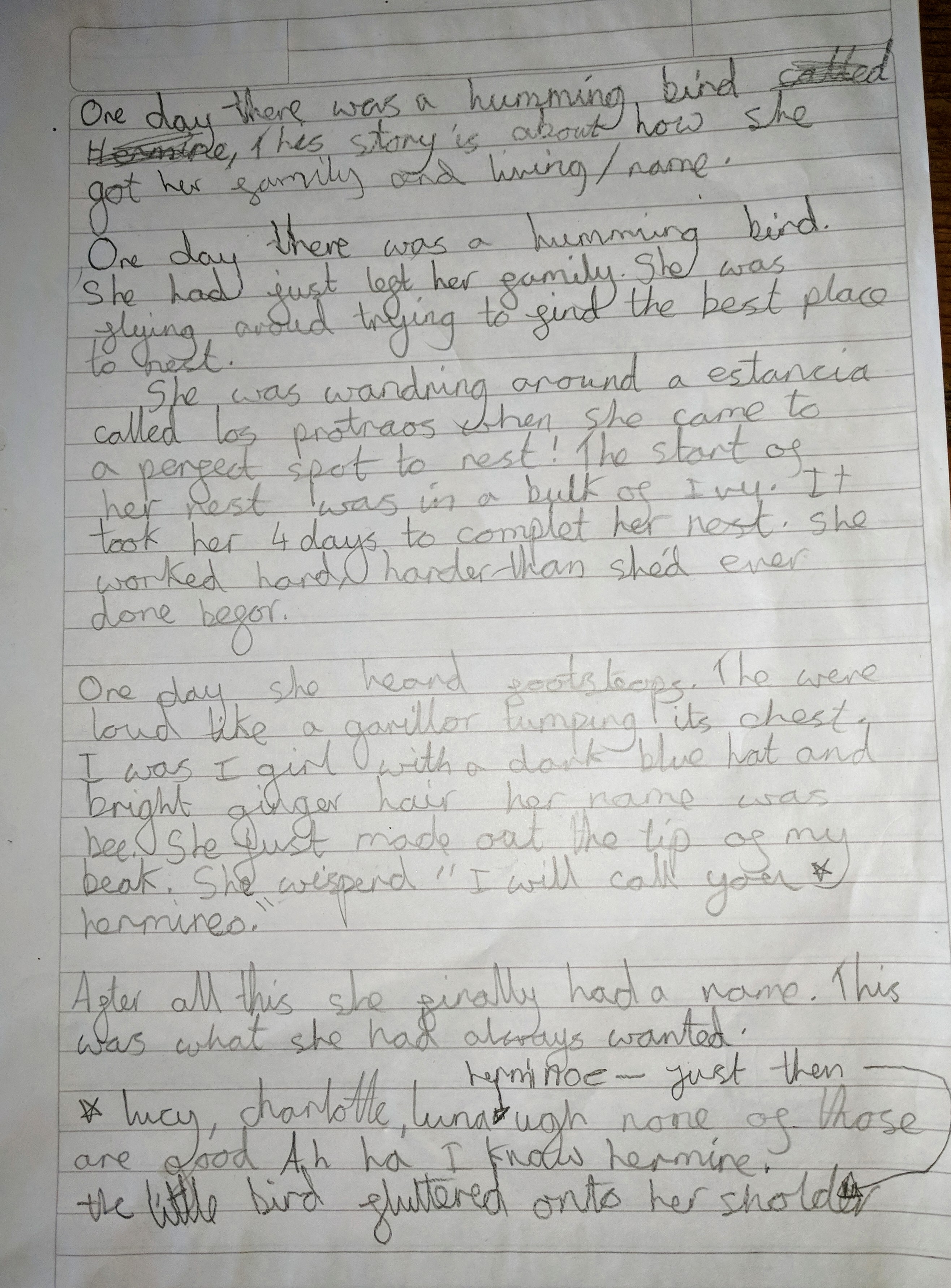 How the Humming Bird got her name, by Emily