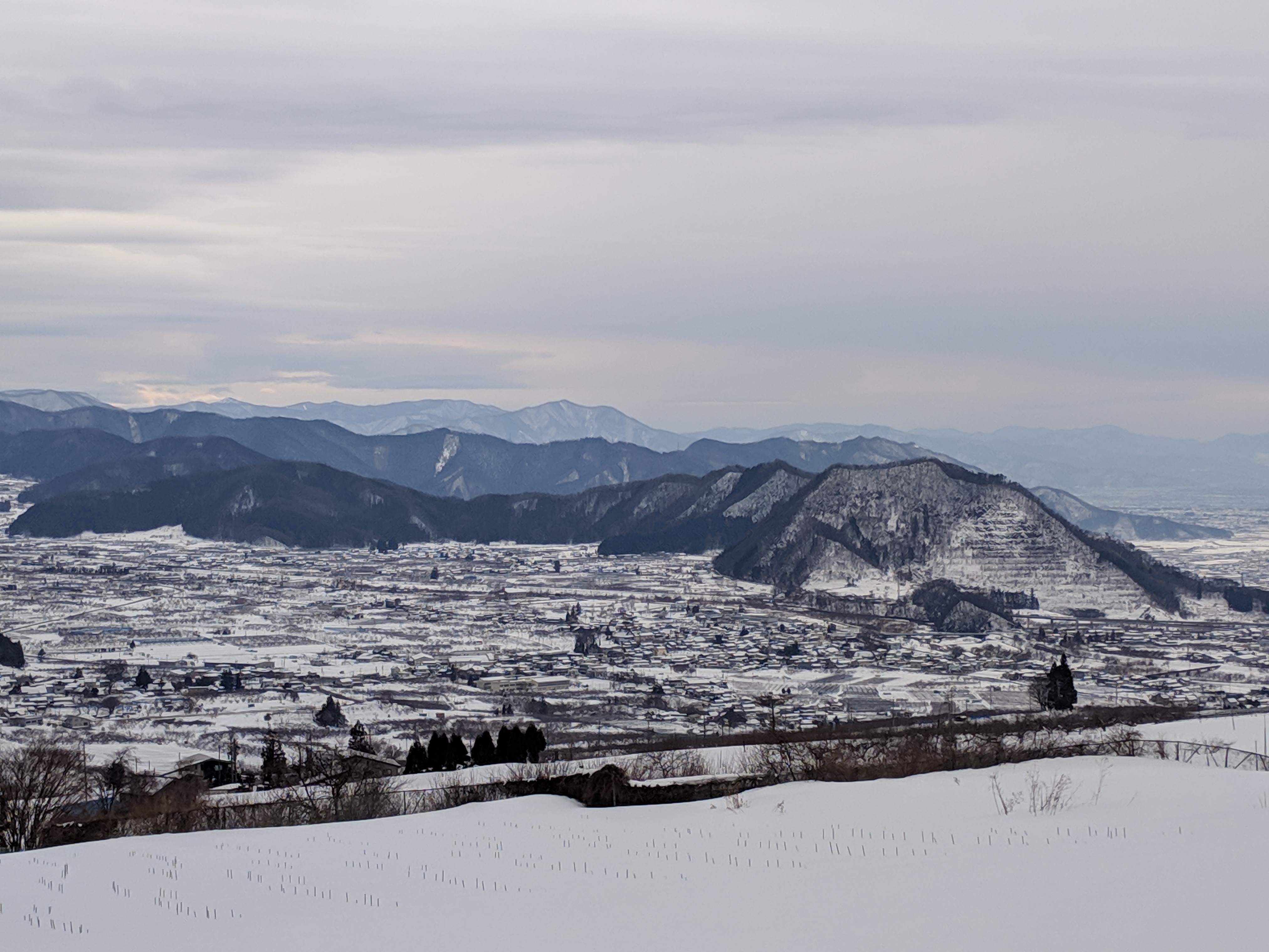IMG_20190203_144910