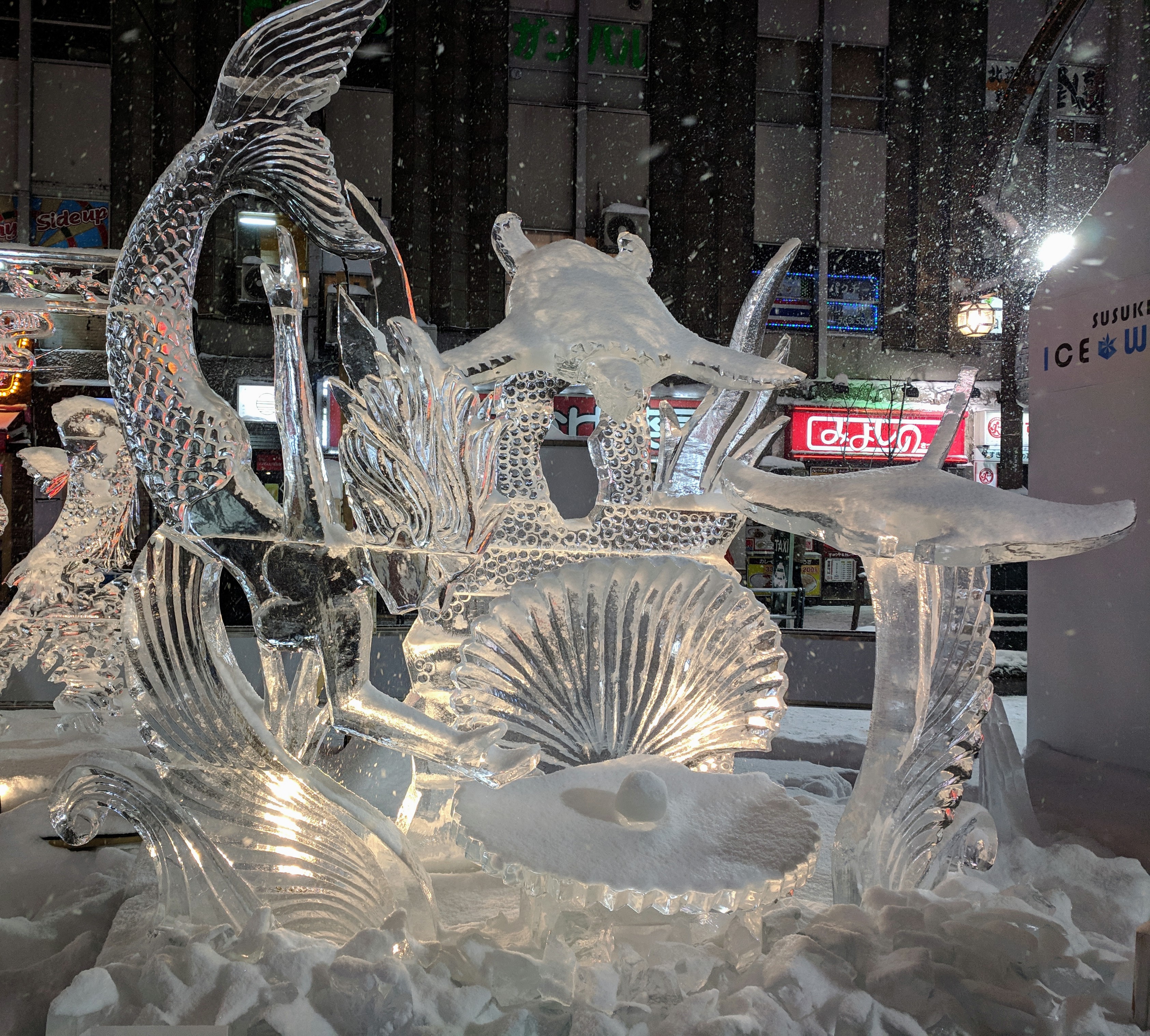 IMG_20190207_204430