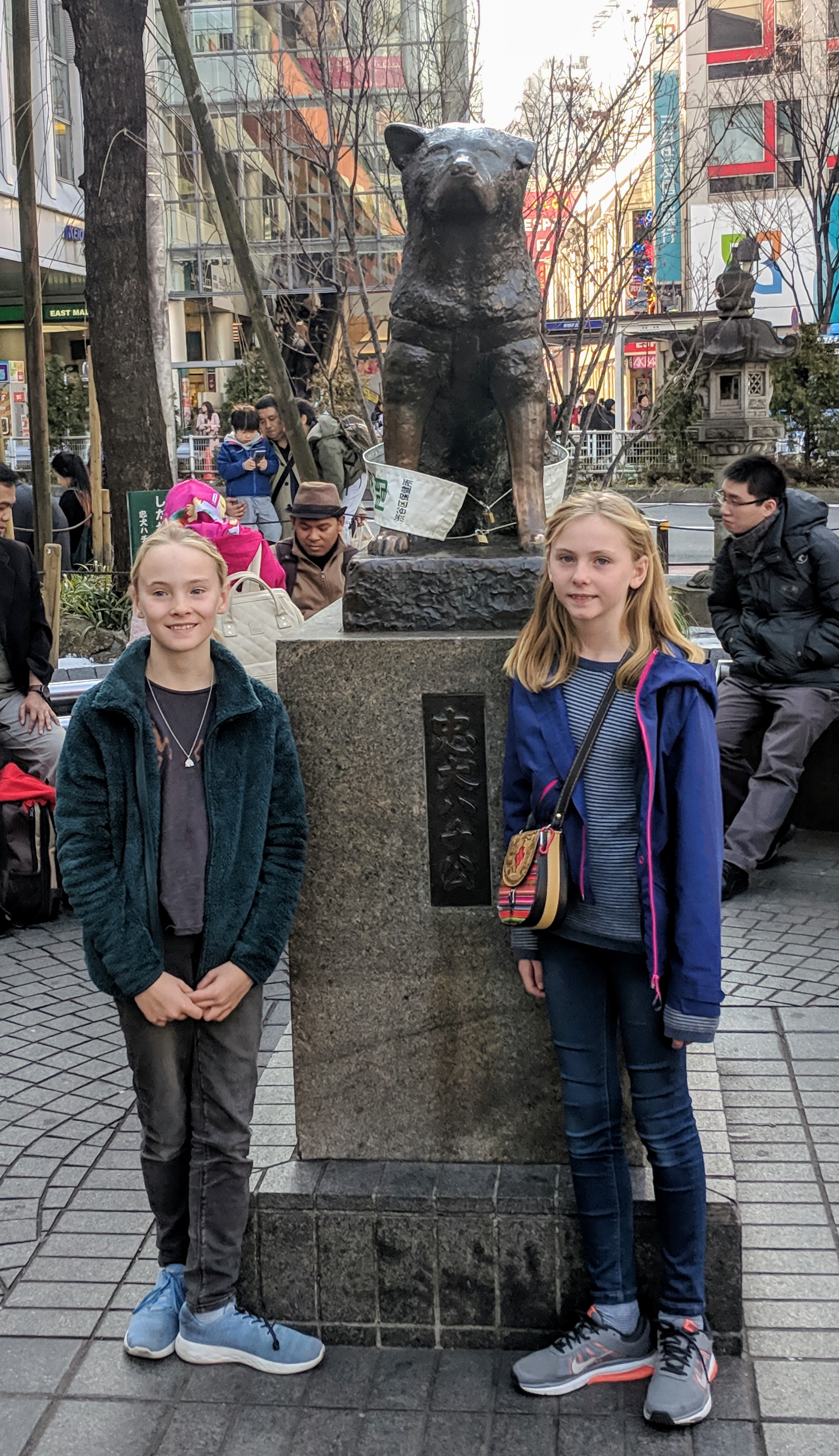 IMG_20190302_153233