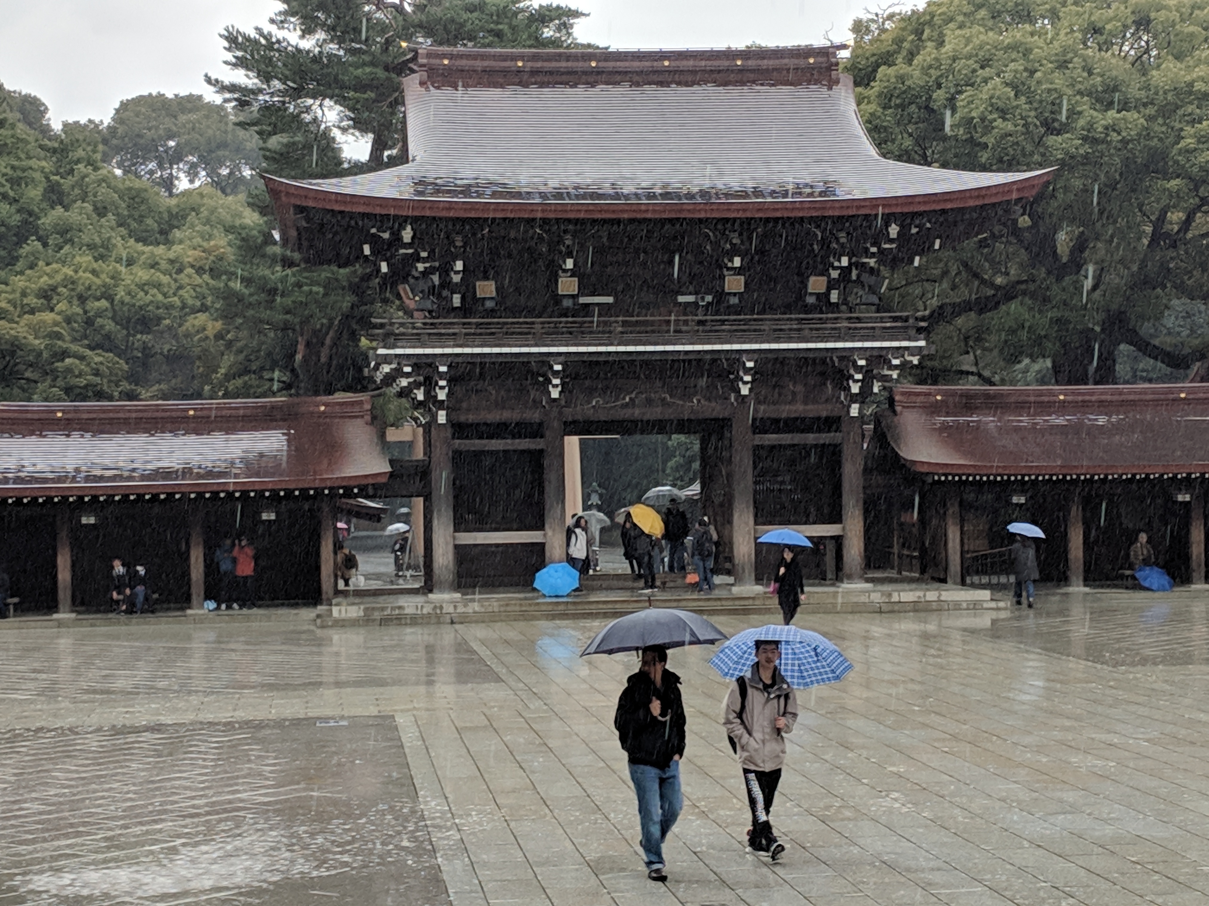 IMG_20190307_145200