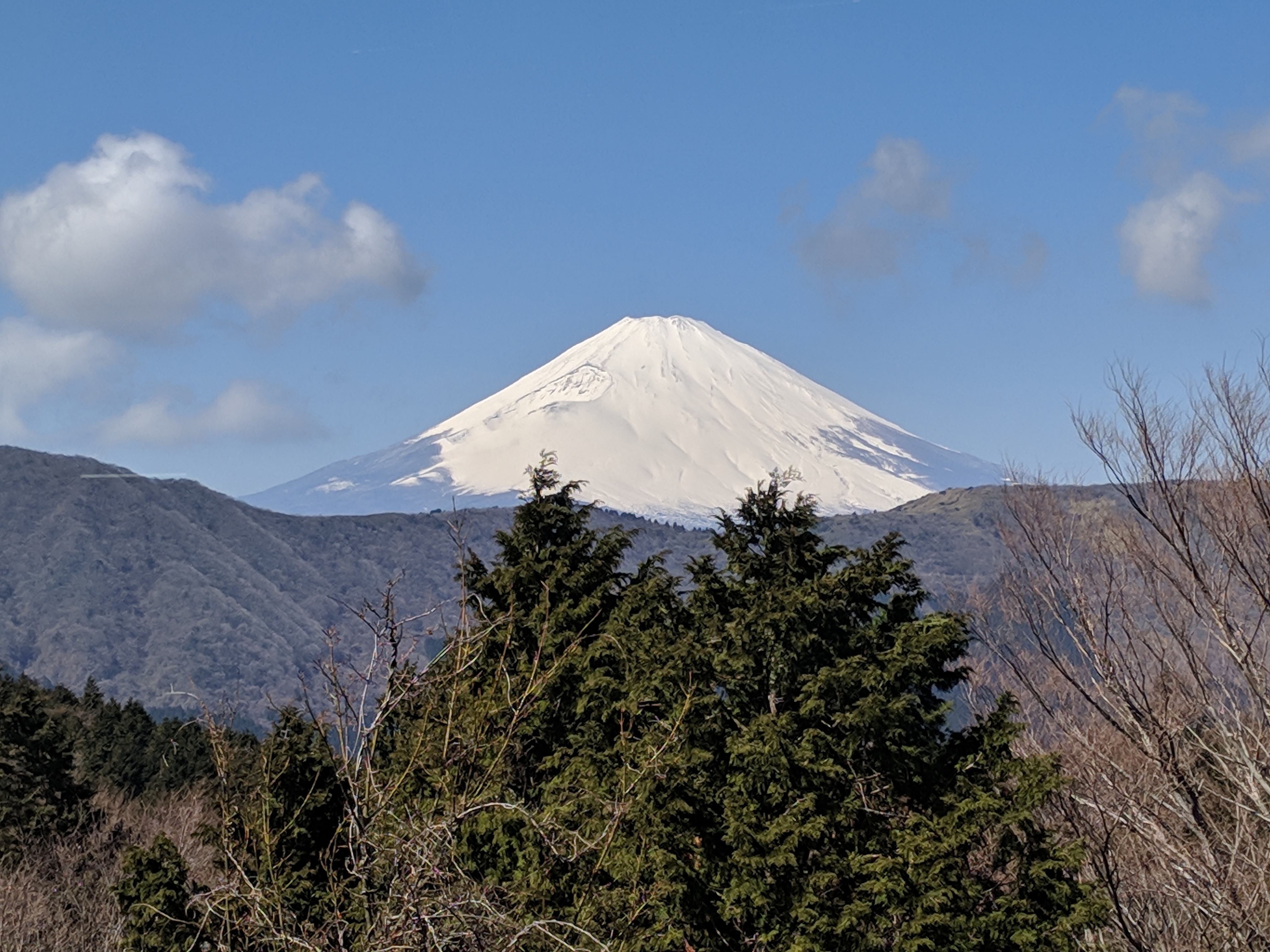 IMG_20190309_114409