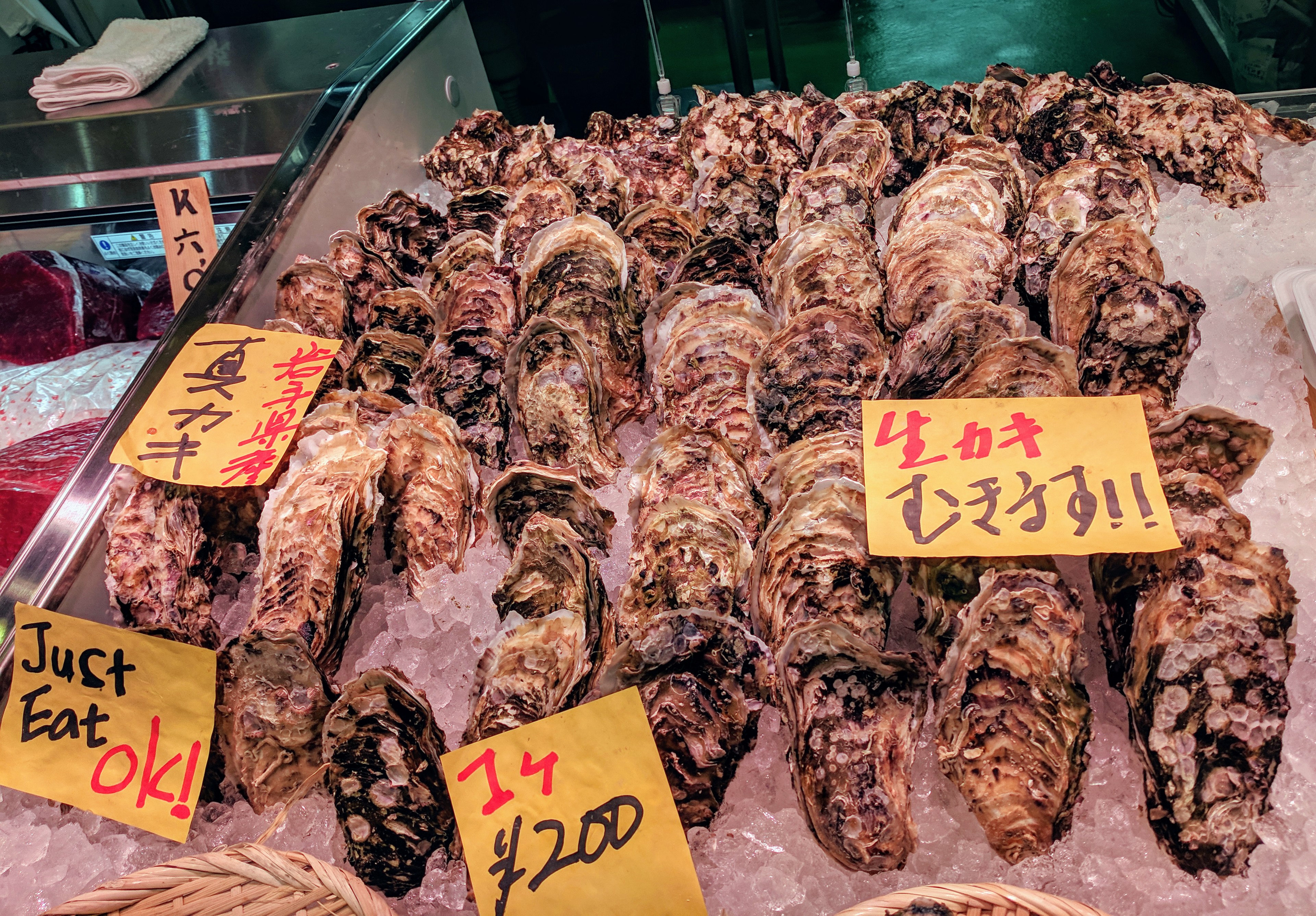 IMG_20190314_105128