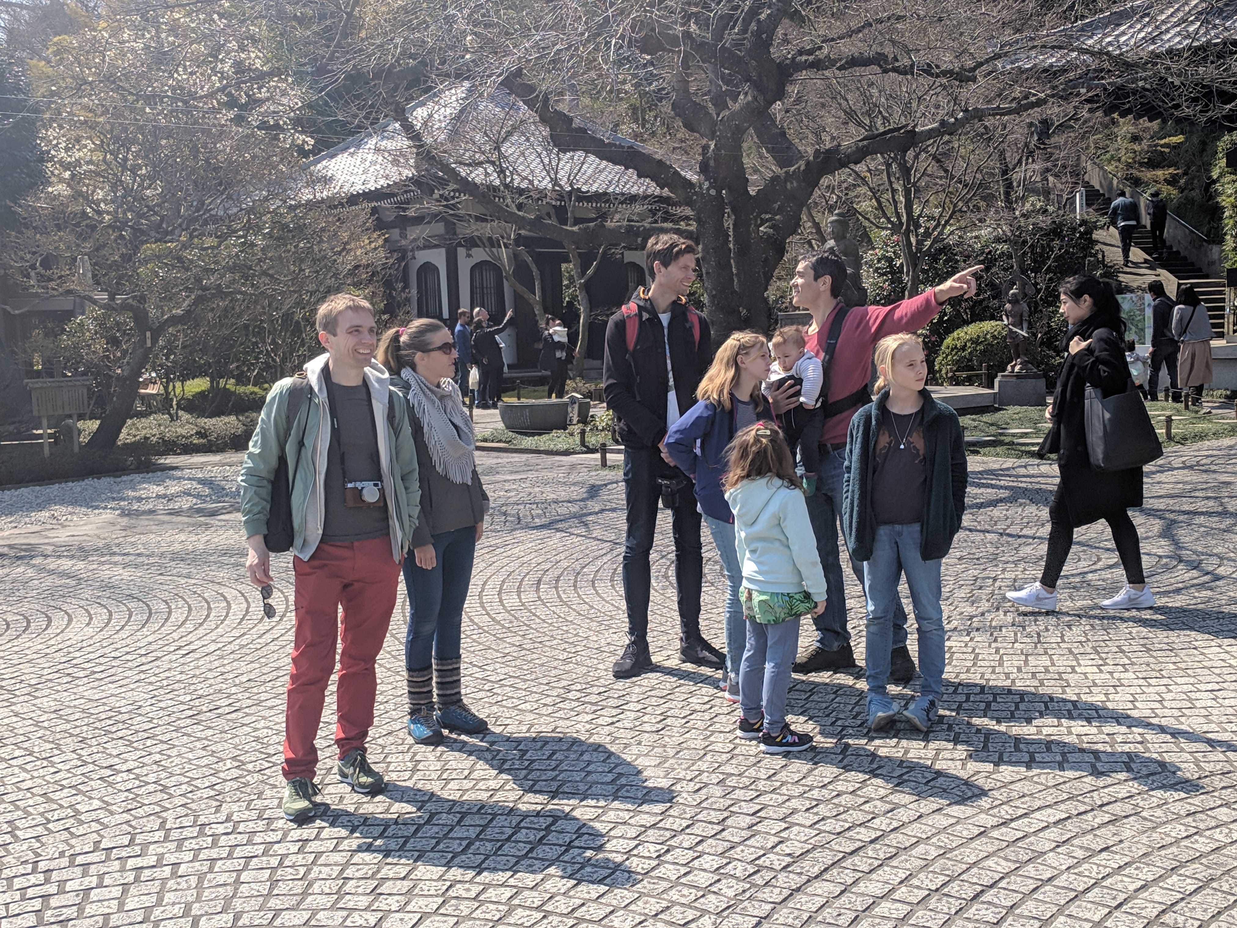 IMG_20190317_115449