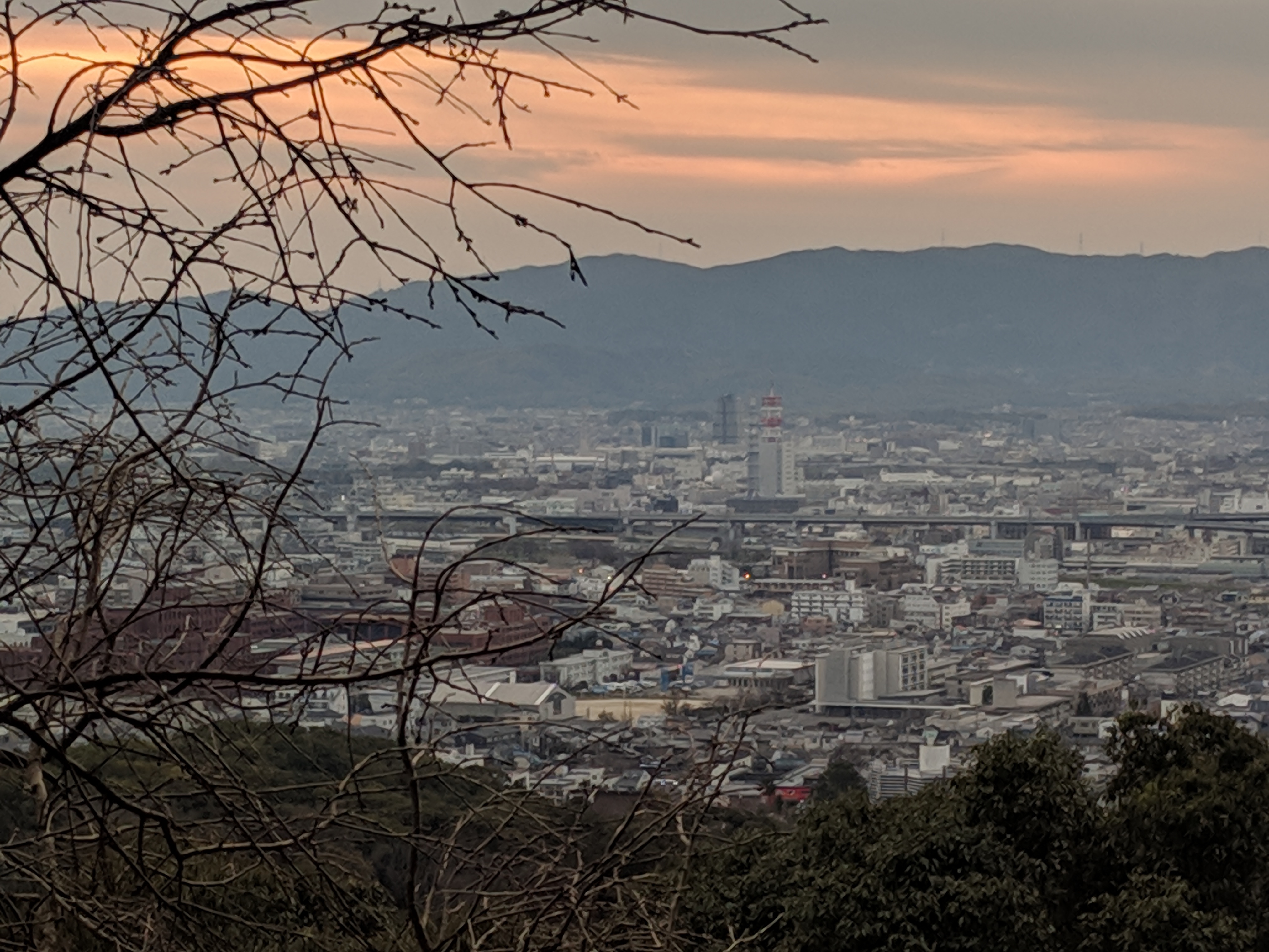 IMG_20190320_174902