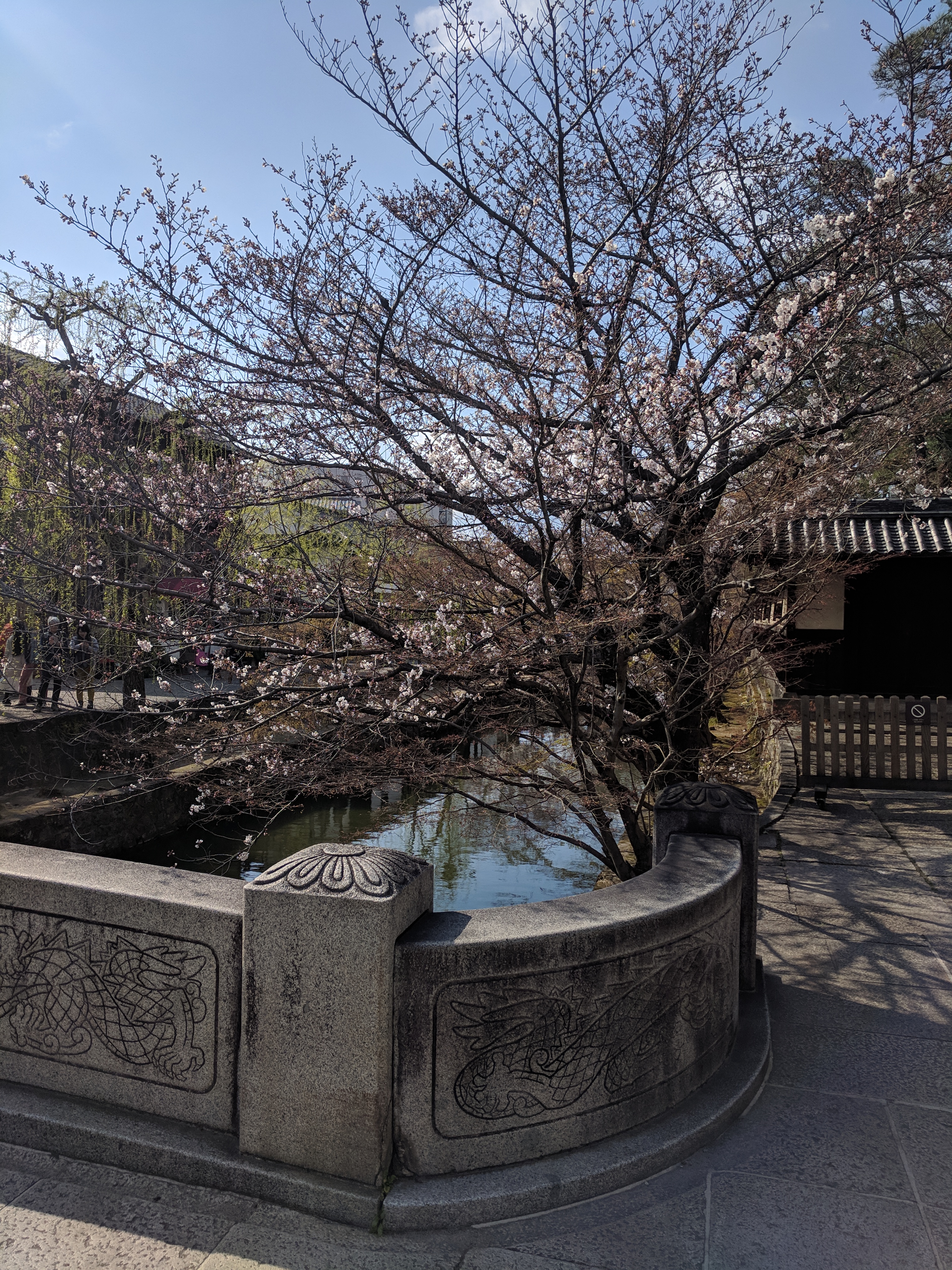 IMG_20190402_150218