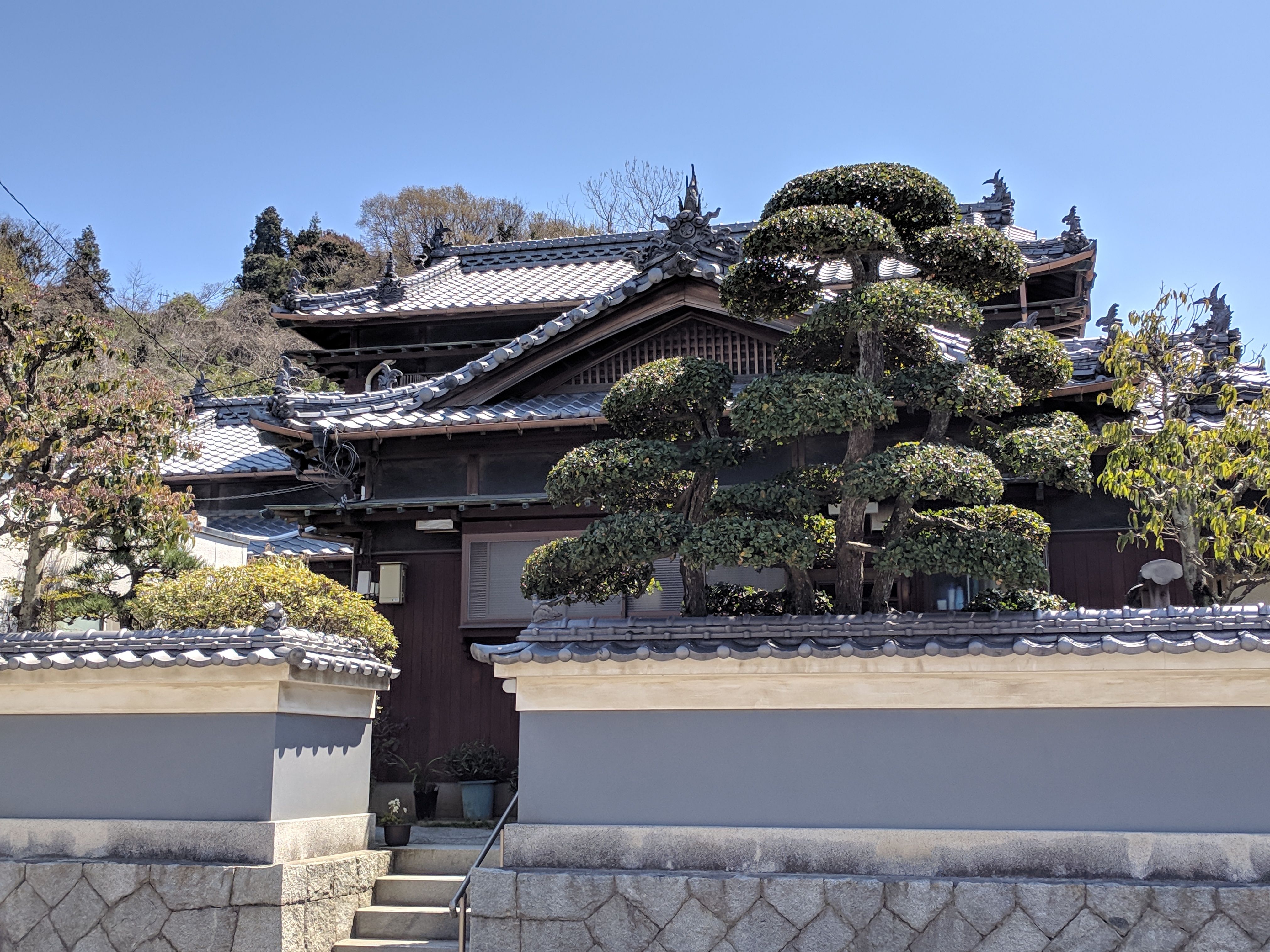 IMG_20190404_124618