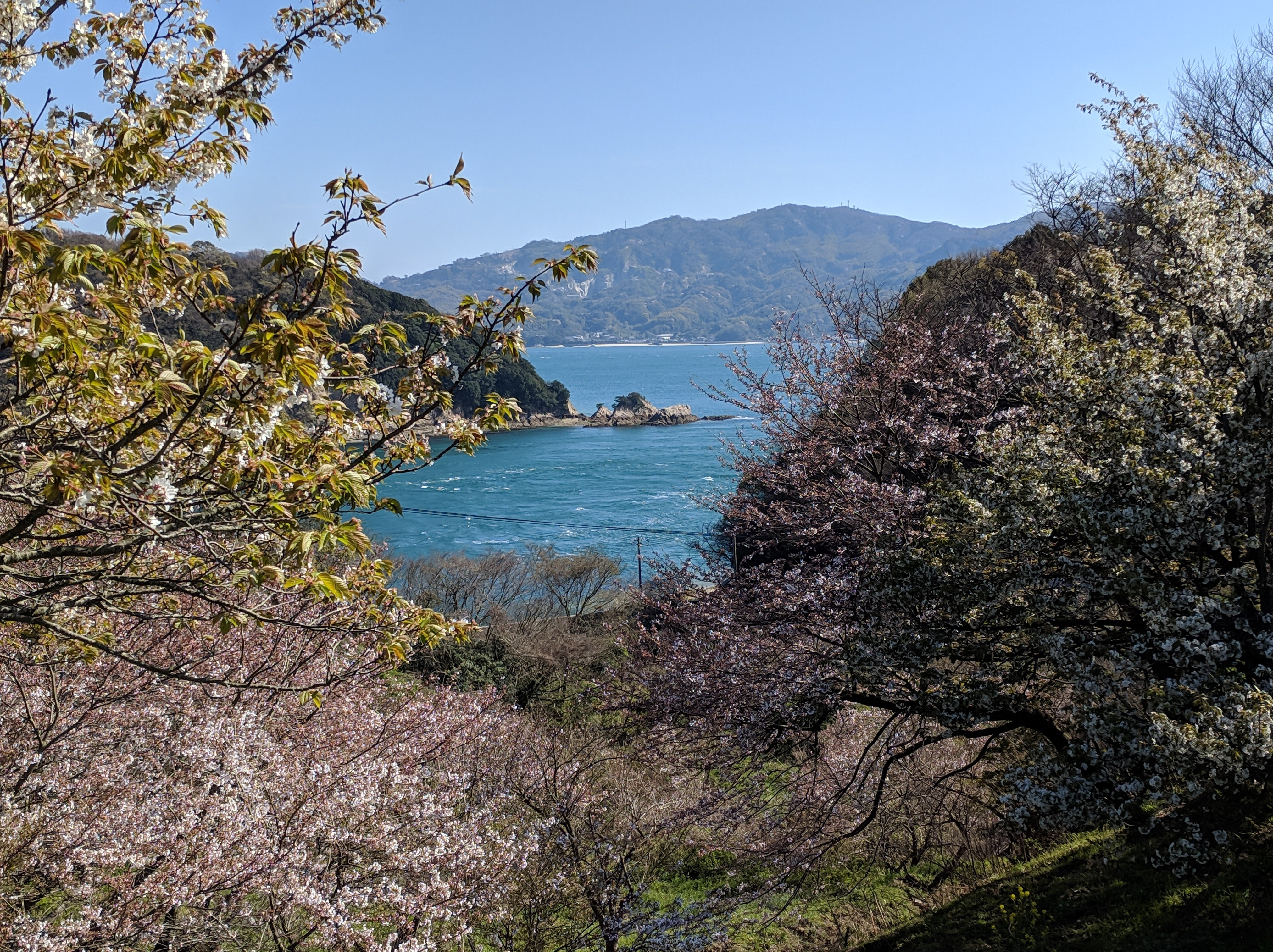 IMG_20190404_150402