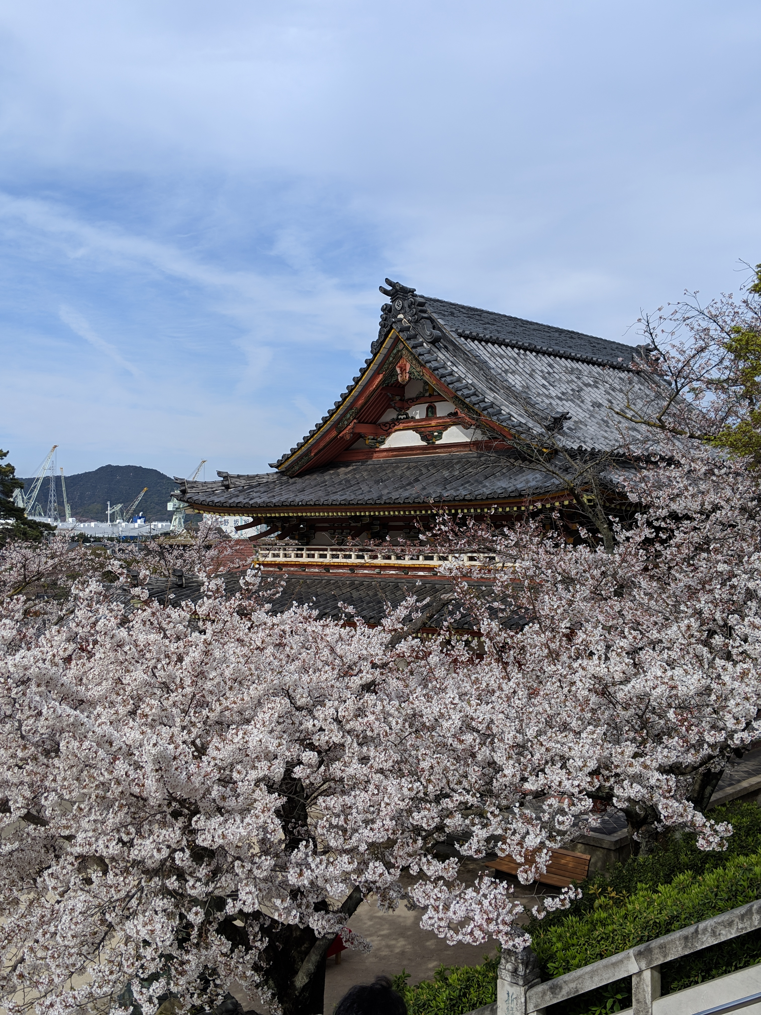 IMG_20190405_153137