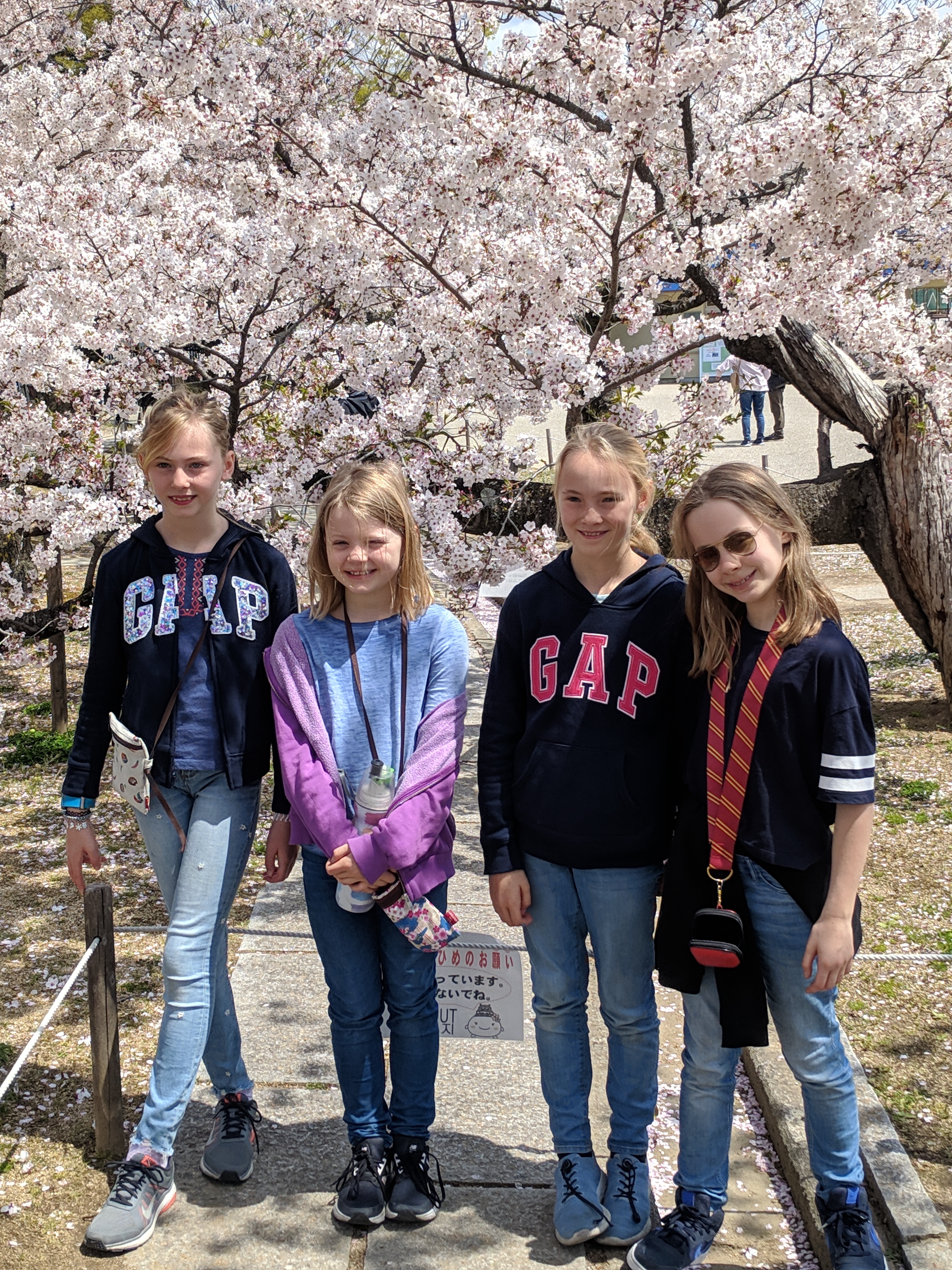 IMG_20190412_114159