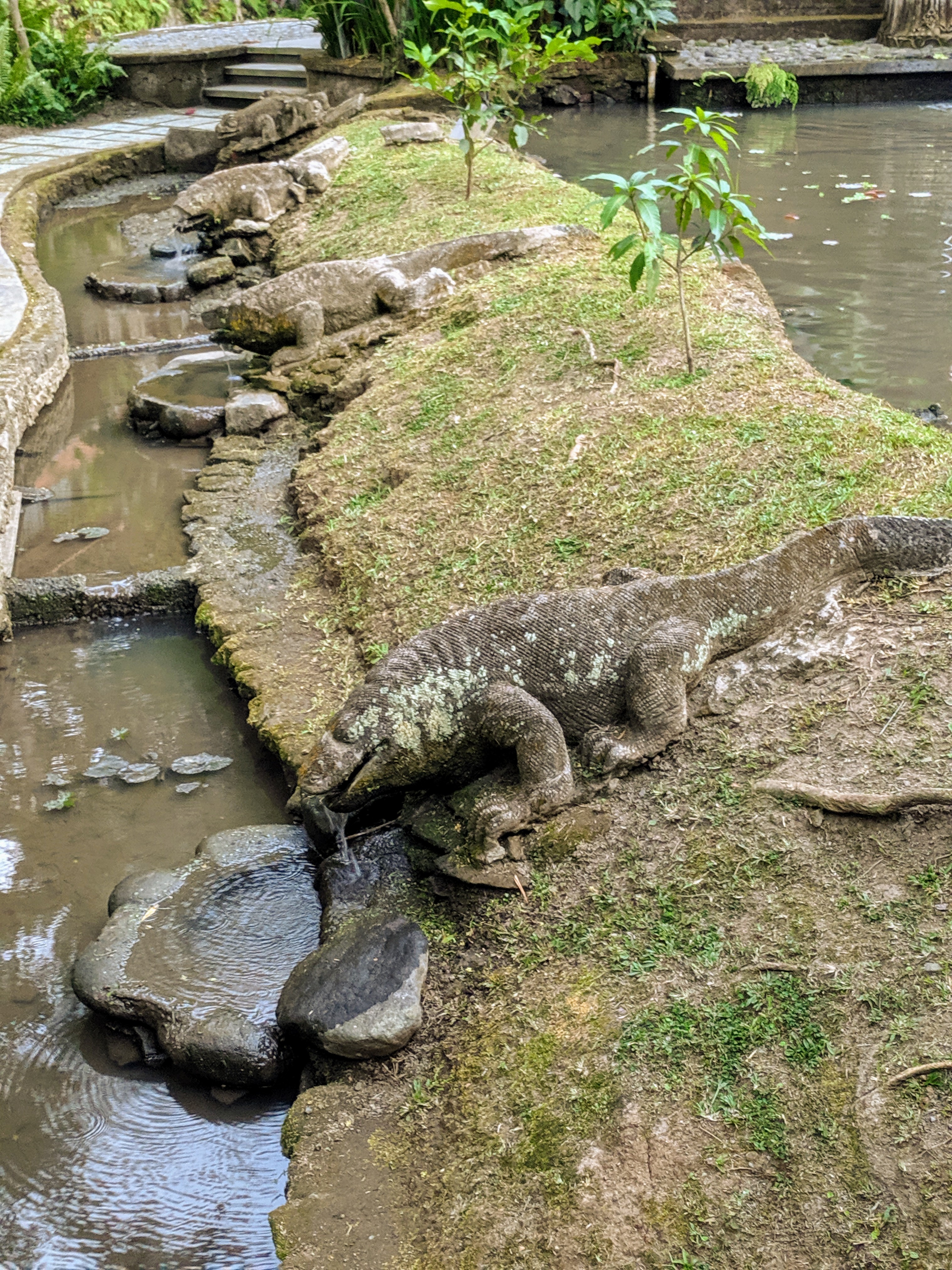 IMG_20190527_174953