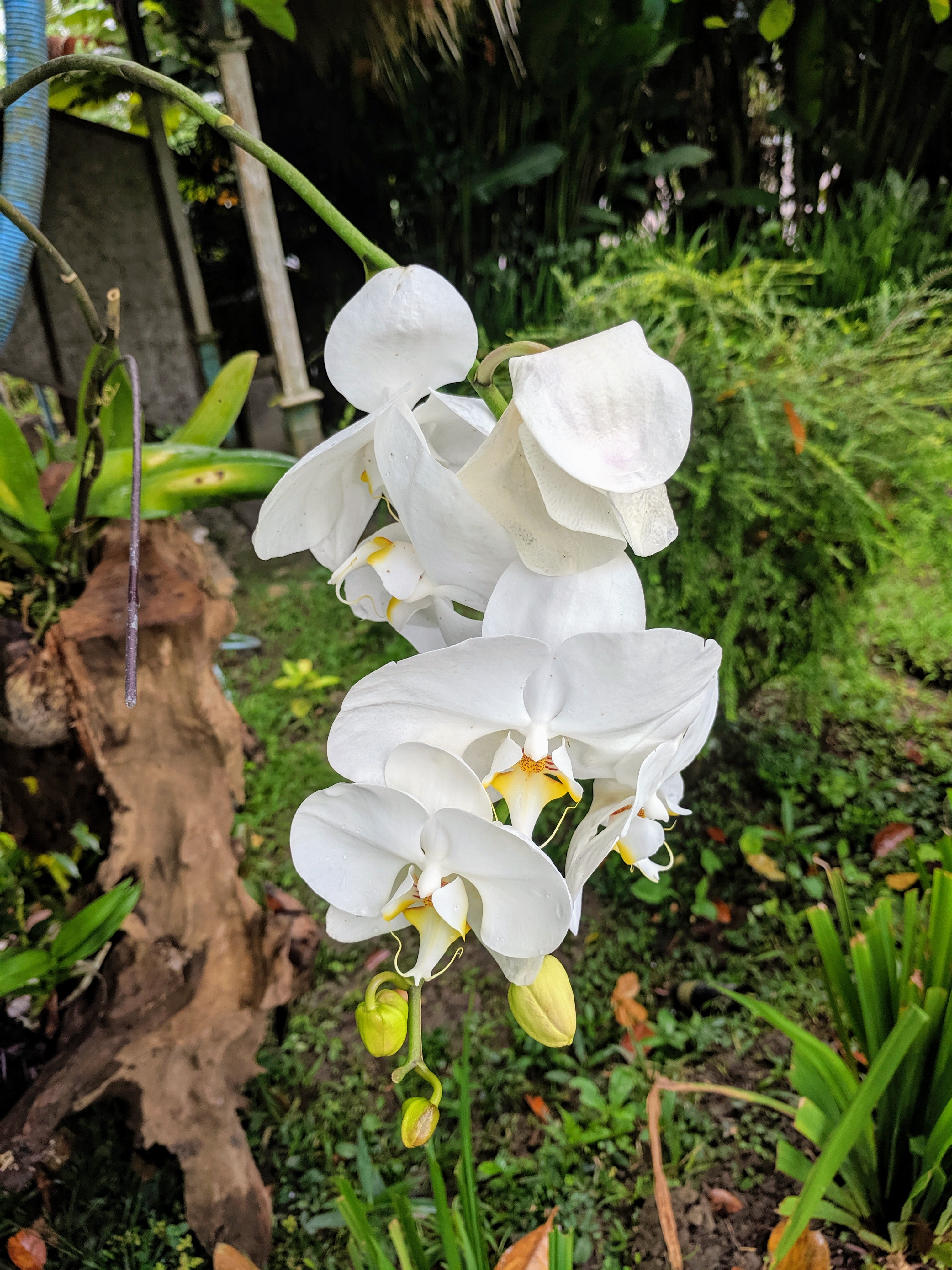 IMG_20190601_100404
