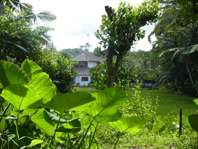 P1040107