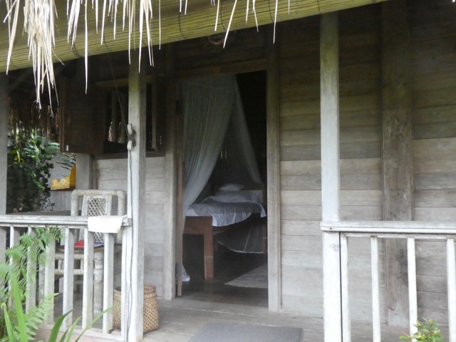 P1050007 (1)