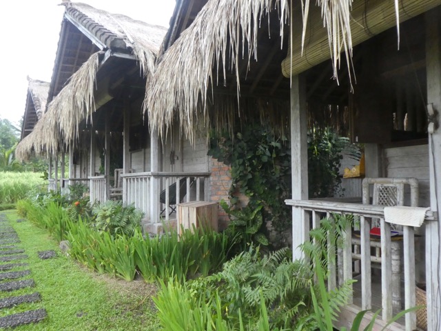 P1050008
