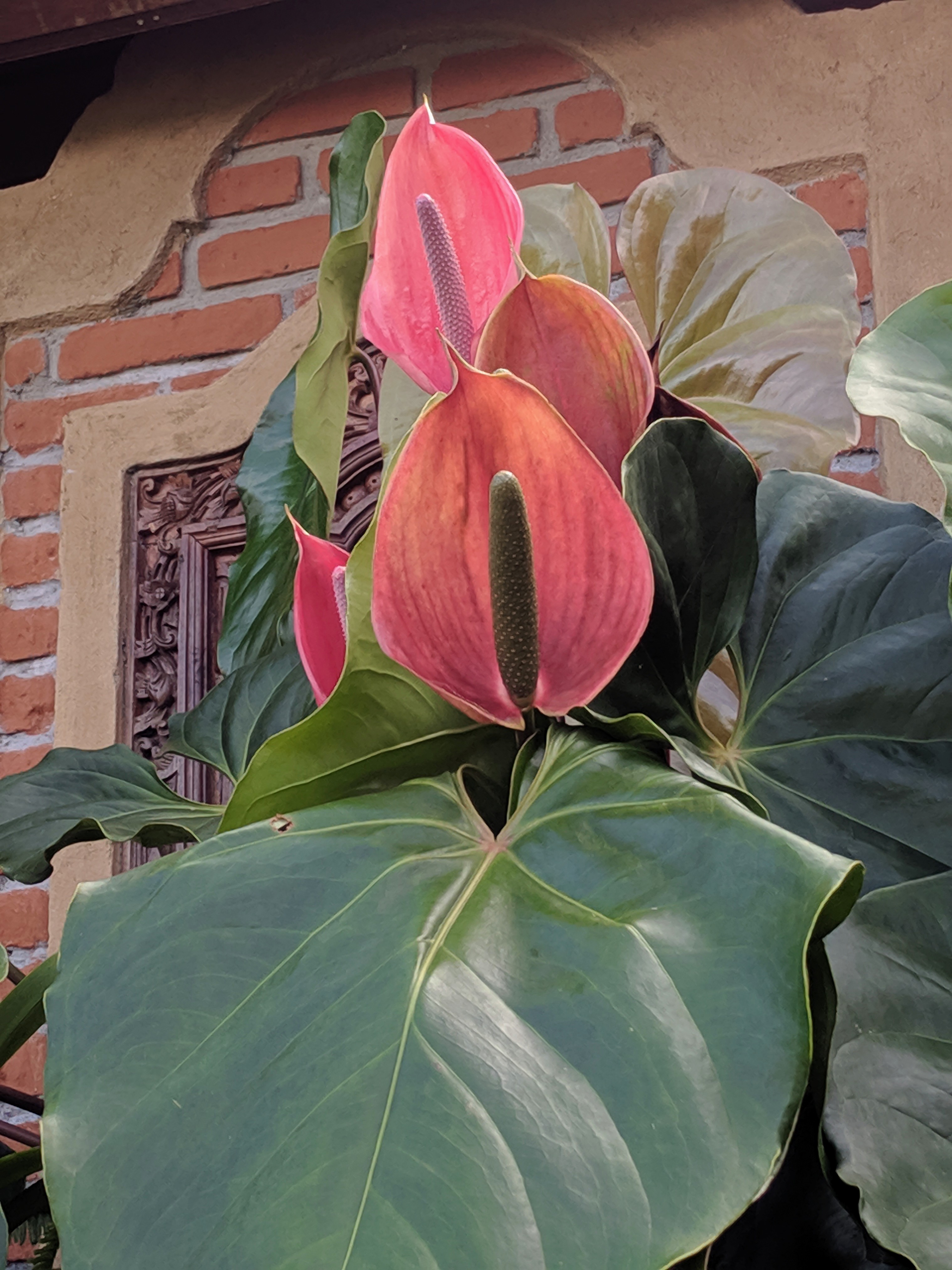 IMG_20190609_091435