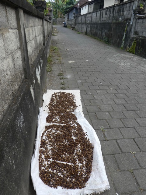 P1040218 (1)