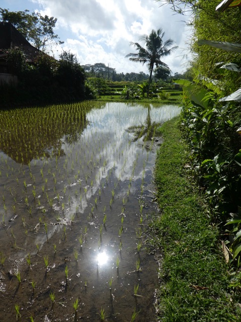 P1040322