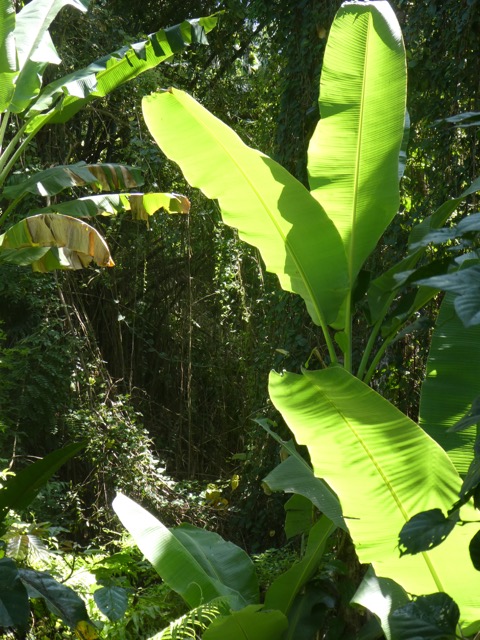 P1040386