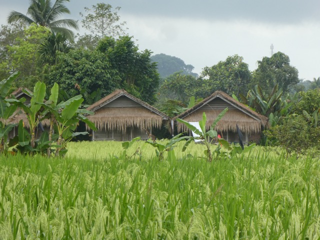 P1040786 (1)