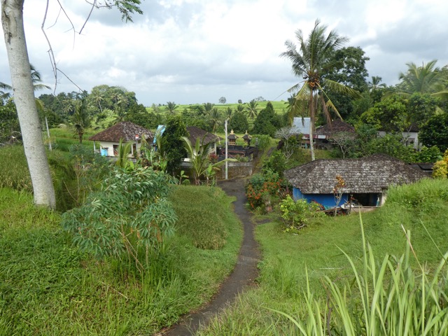 P1040808
