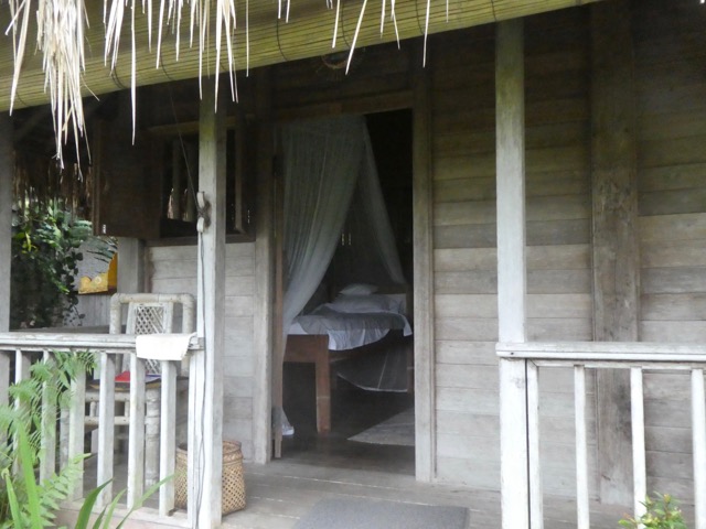 P1050007 (2)