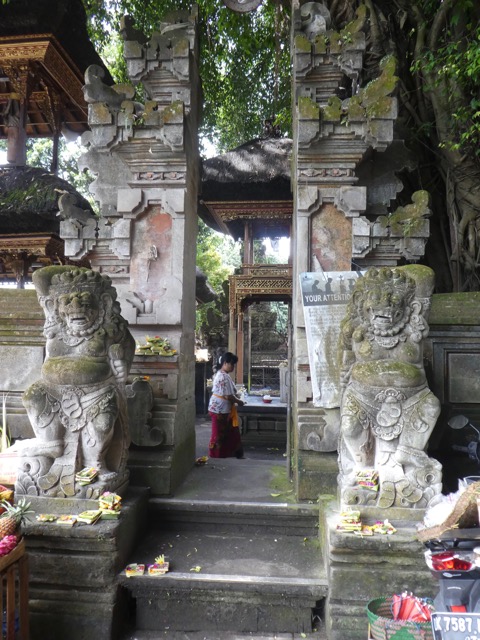 P1050110 (1)
