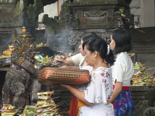 P1050115 (1)