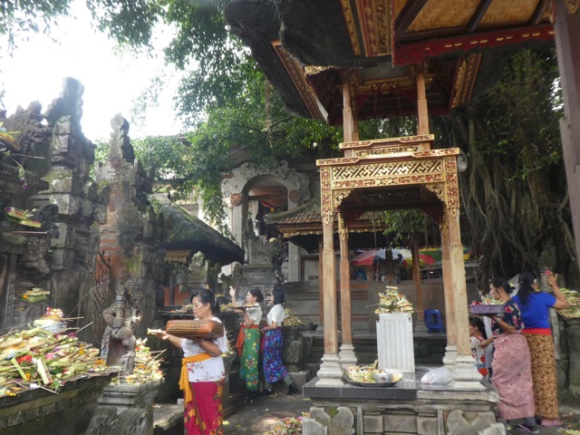 P1050116 (1)