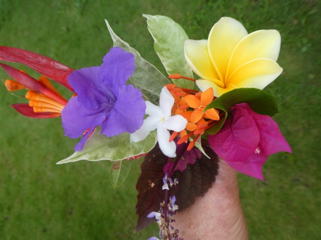P1050166 (1)