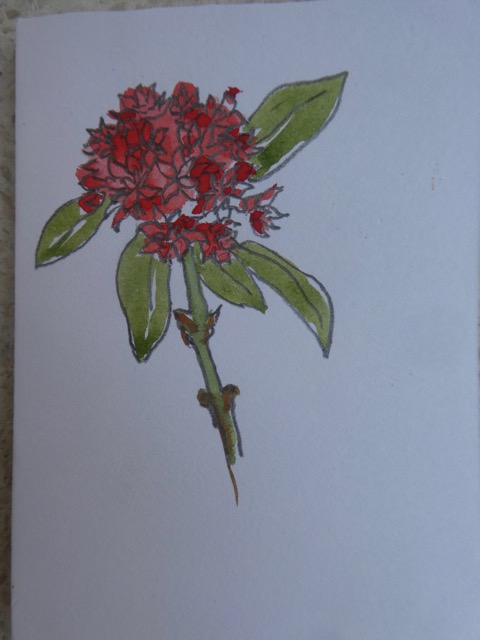 P1050176